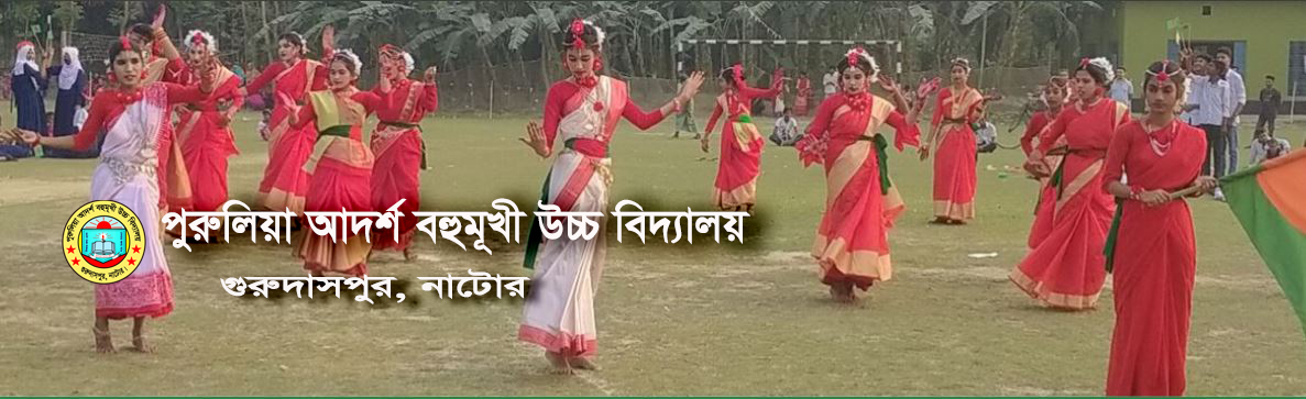ডিস্প্লে
